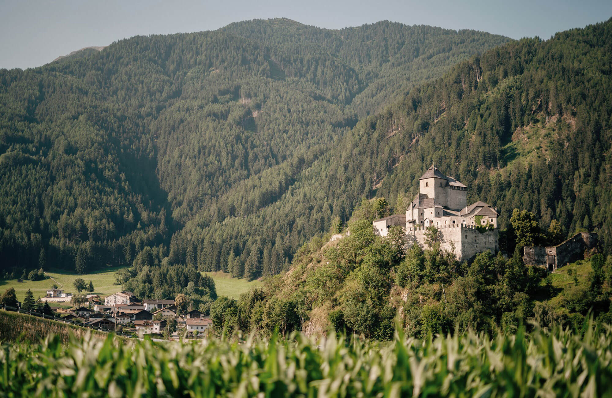Blick auf das Schloss