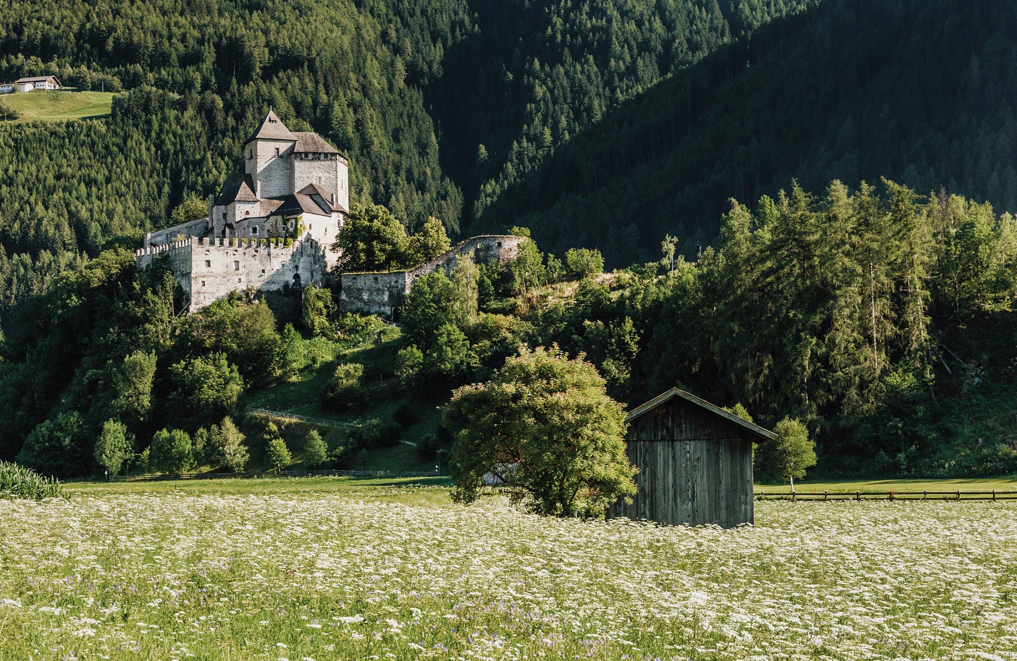 Castel Tasso a Campo di Trens