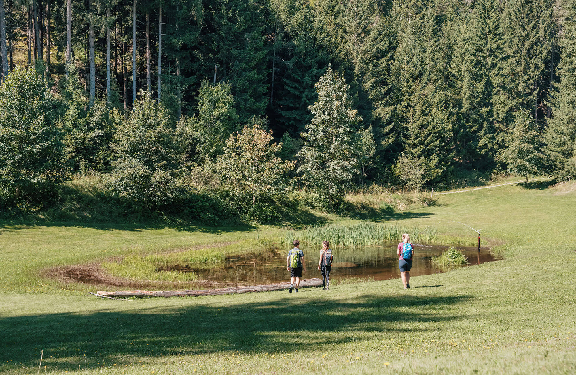 Wanderung im Wald zu einem See