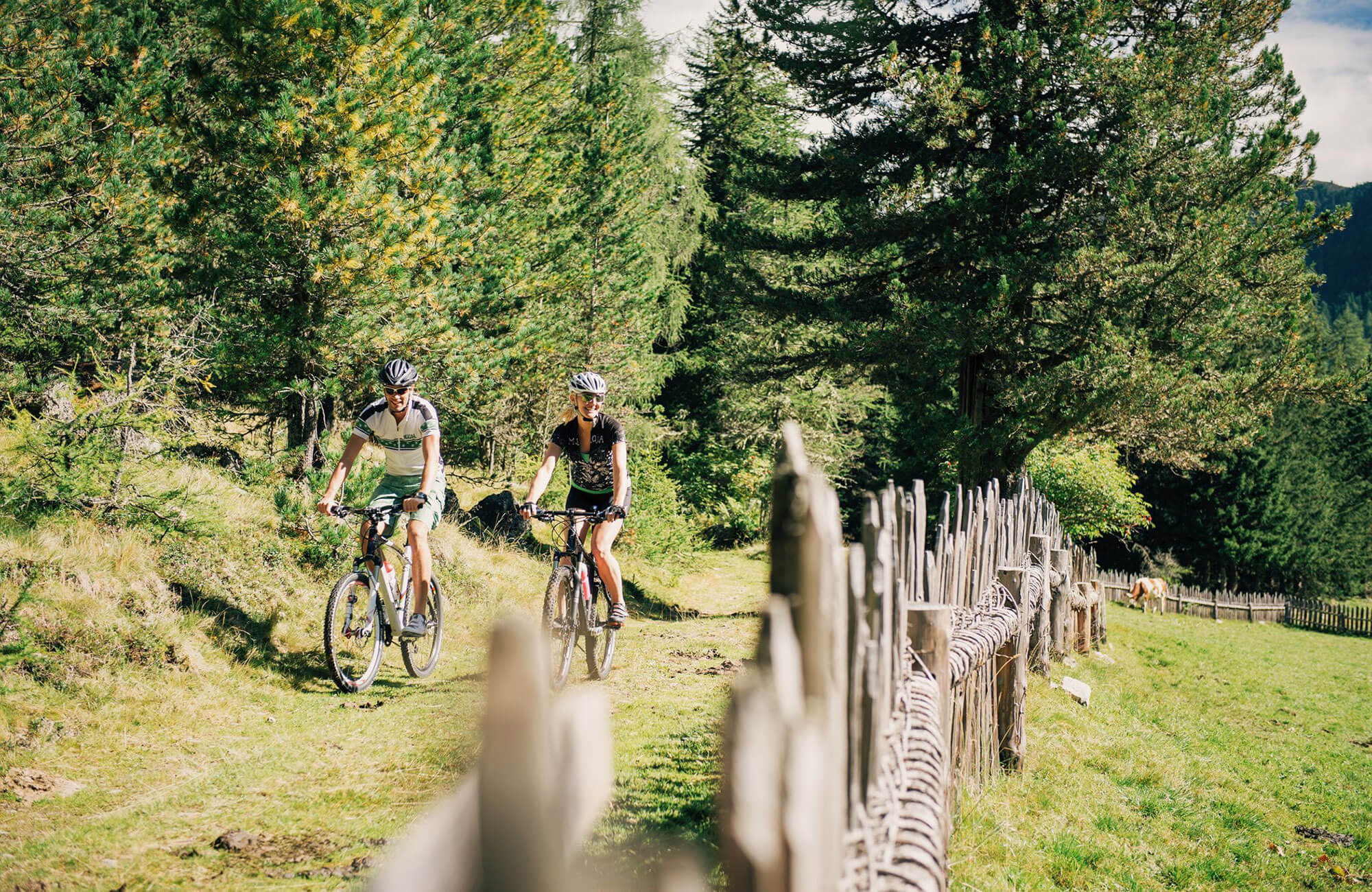 MTB