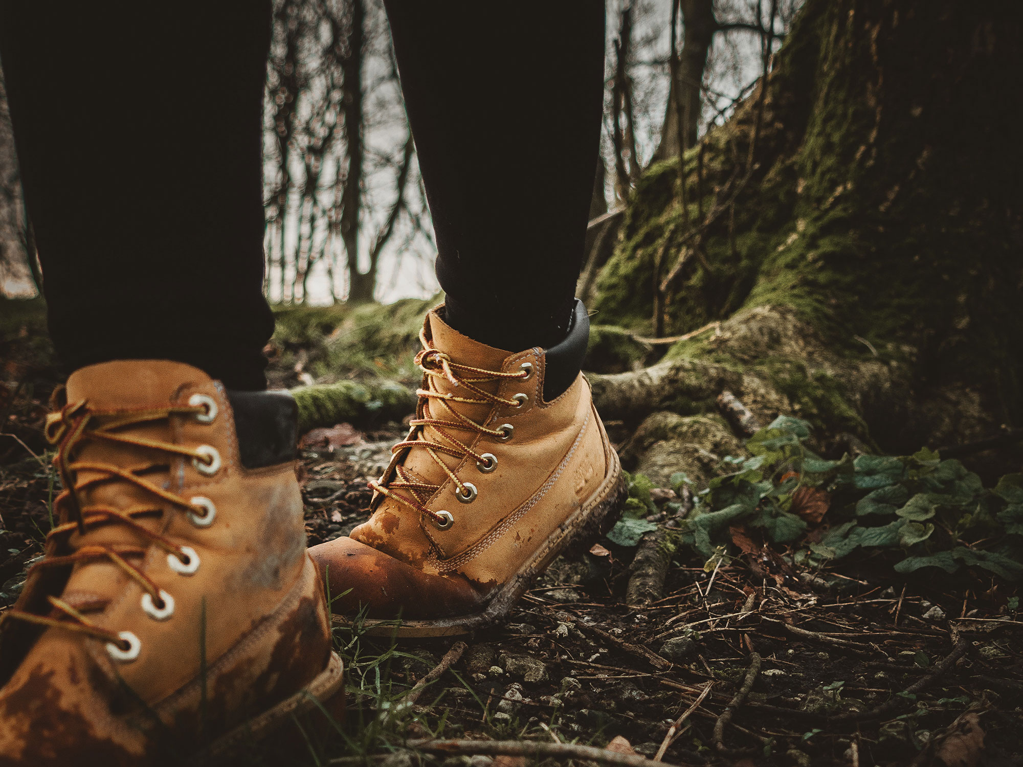 Wander Highlights im Wieser