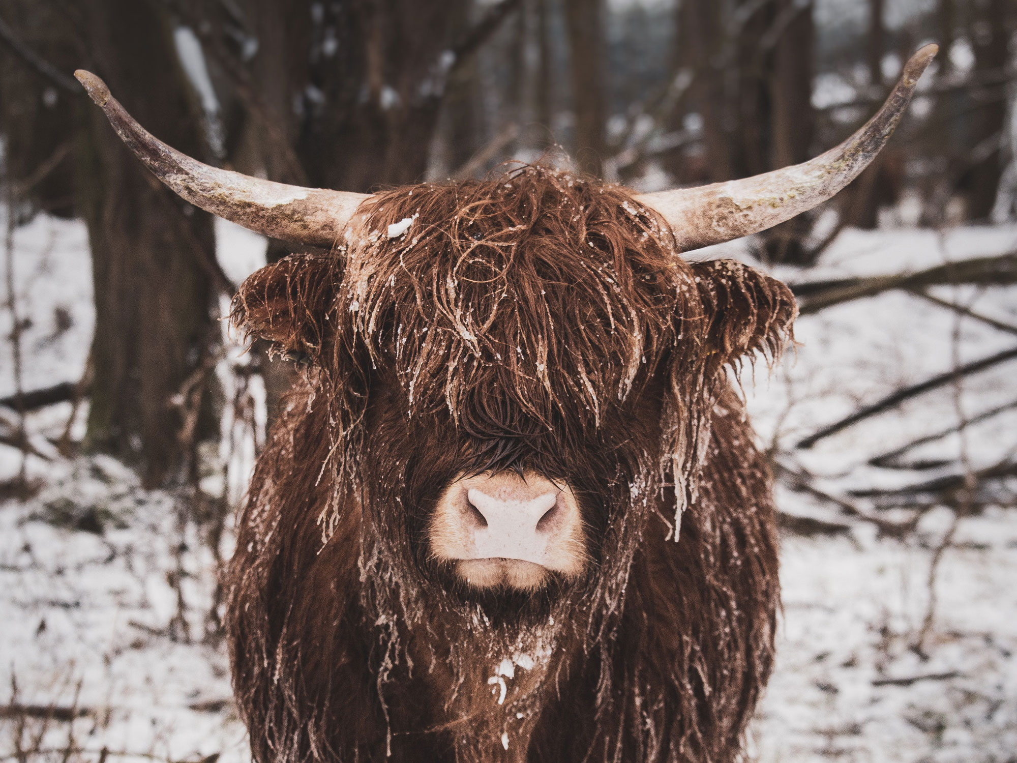 Activity holiday Isarco Valley