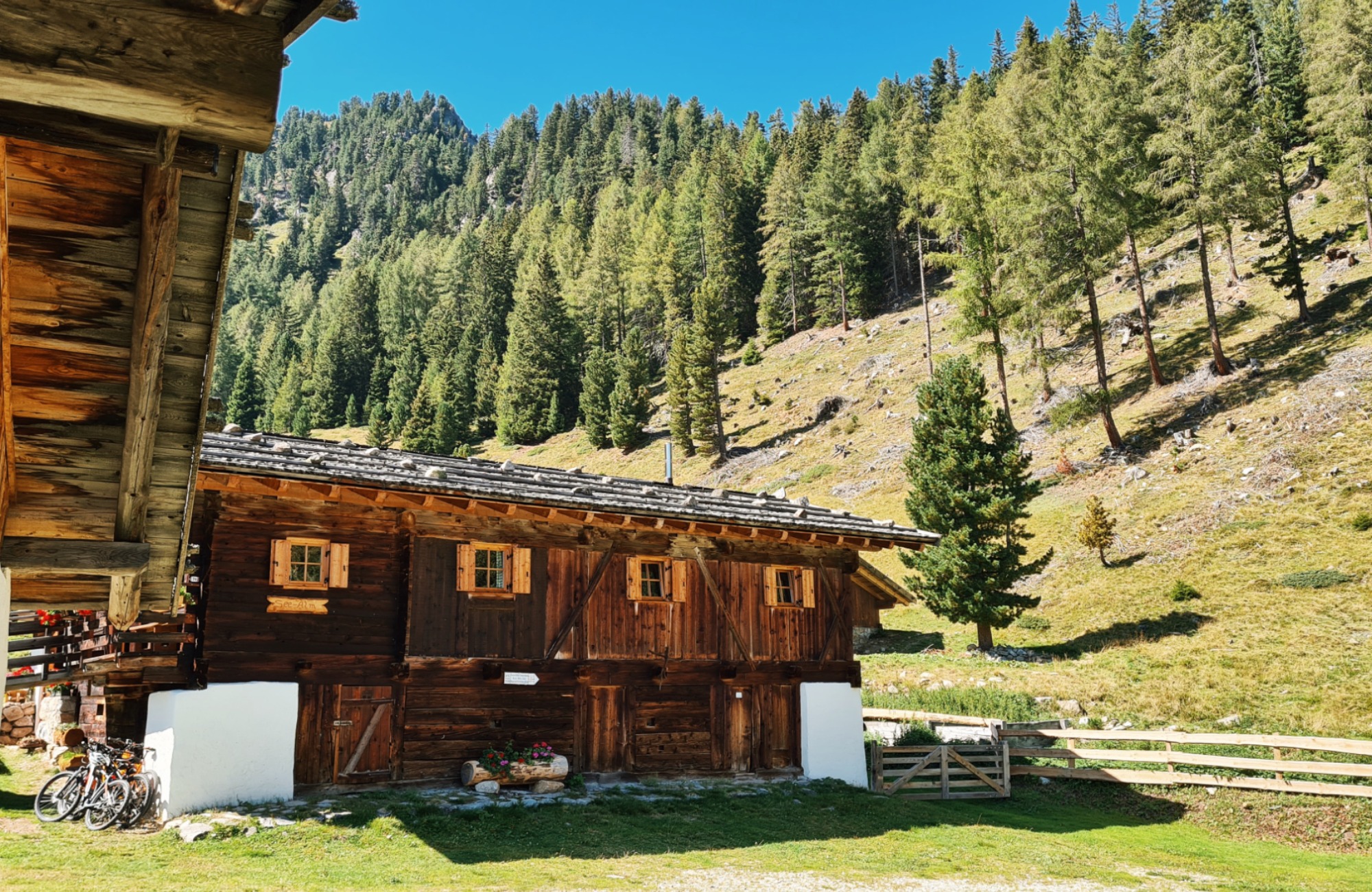 Malga Pontelletto Alpine Pasture
