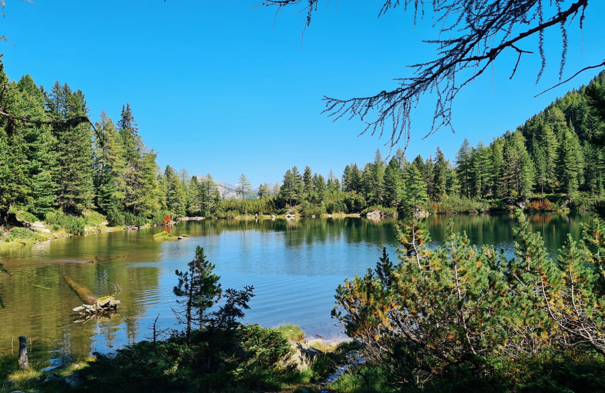 Hidden gem Puntleider Lake Pontelletto