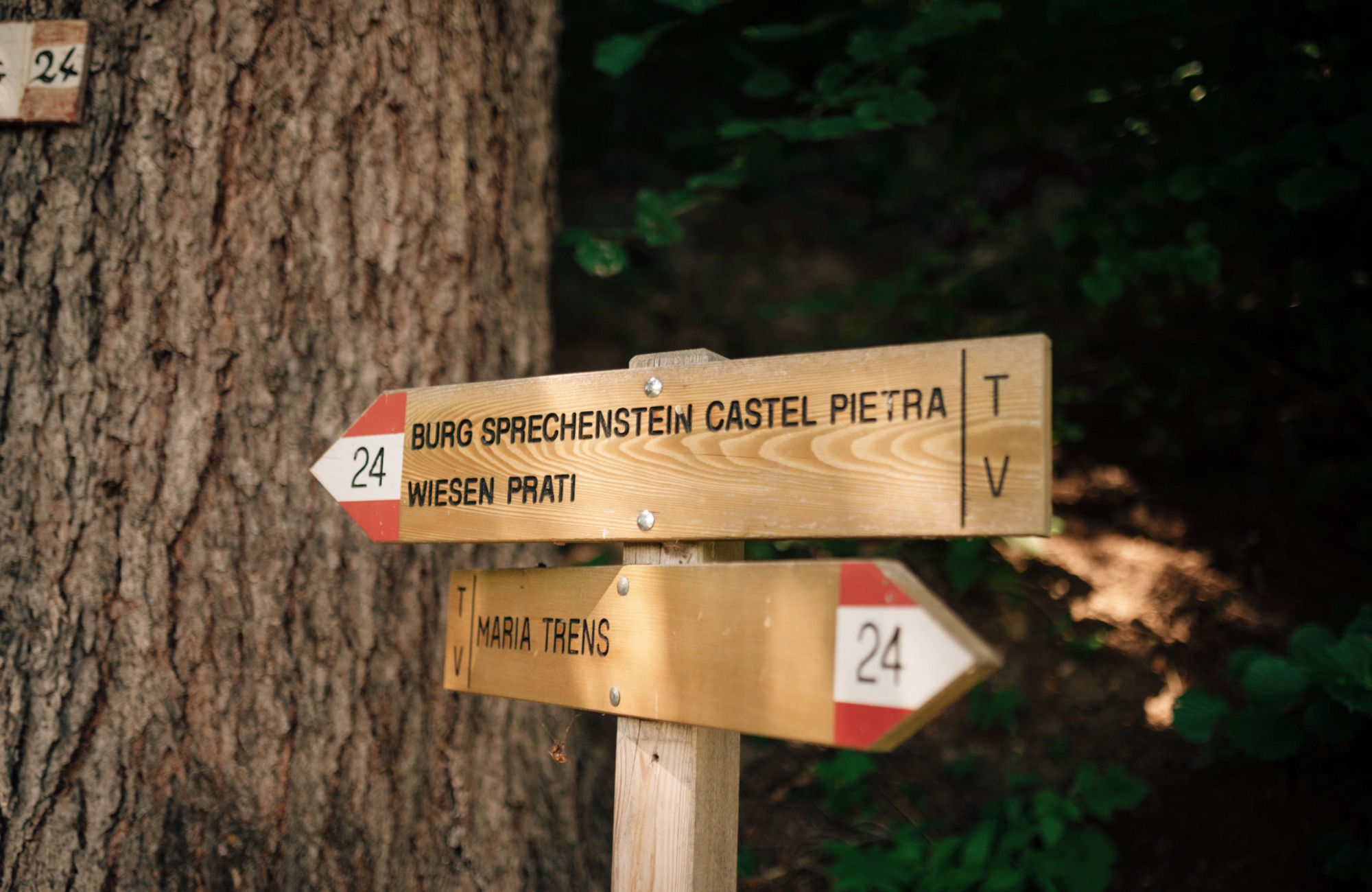 Der Trenser Höhenweg